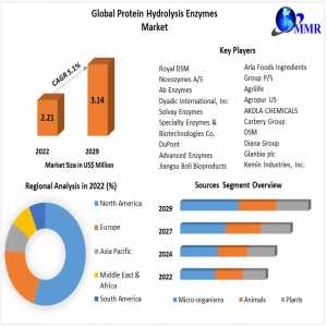 Protein Hydrolysis Enzymes Market Size, Share, Global Industry Outlook By Types, Applications, And End-User Analysis Industry Growth Forecast To 2029