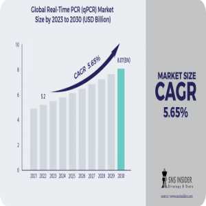 Real-Time PCR (QPCR) Market Analysis With COVID-19 Impact On Business Growth, And Forecast 2024-2031