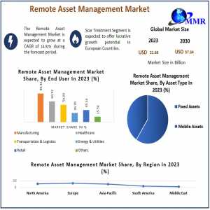 Remote Asset Management Market Opportunities And Revenue Forecast (2024-2030): Size And Share Analysis