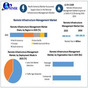 Remote Infrastructure Management Industry: Market Dynamics And Competitive Landscape