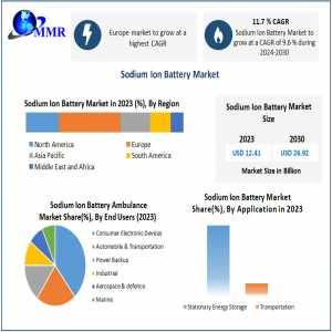 Sodium Bon Battery Market Growth Factors, Size Review, Investment Scenario, Business Strategy, Trends And Regional Outlook 2030