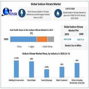 Sodium Silicate Market Forecast: An In-Depth Analysis Of Size, Share, Opportunities, And Revenue (2024-2030)