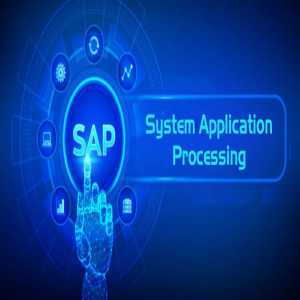 Steps To Assess Processes For Successful SAP Implementation