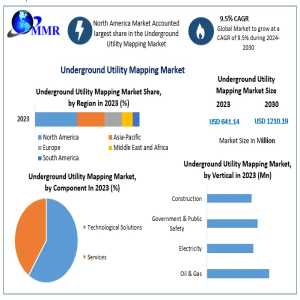 Strategic Insights Into The Global Underground Utility Mapping Sector