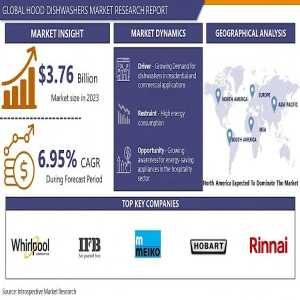 Streamlining Commercial Kitchens: Insights Into The Hood Dishwashers Market