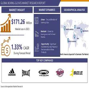 The Evolution Of Boxing Gloves: From Traditional To High-Tech Market Trends