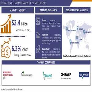 The Growing Demand For Food Enzymes: Key Trends And Opportunities 2024-2032