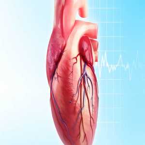 The Importance Of Early Detection In Heart Disease