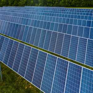 The Importance Of Solar Panel Cleaning And Bird Proofing