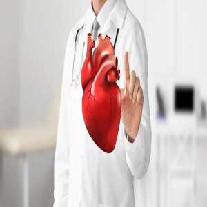 Top 10 Questions To Ask Your Cardiologist During Your First Visit