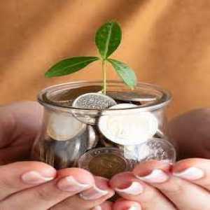 Understanding Mutual Fund Investment In Delhi, Should You Opt For An MFD?