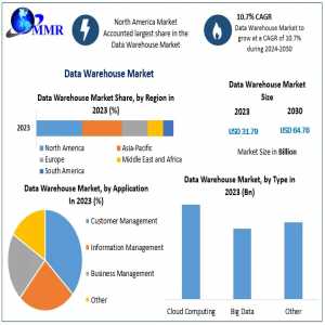 Unlocking Insights: Growth In The Data Warehouse Market To Accelerate Through 2030