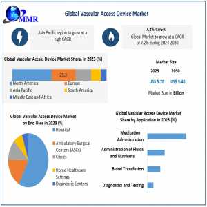 Vascular Access Device Market: Size, Share, Revenue, And Future Outlook (2024-2030)