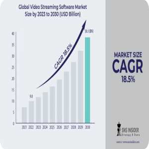Video Streaming Software Market : A Breakdown Of The Industry By Region And Segment