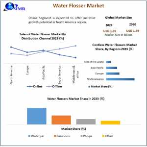 Water Flosser Market Trends, Growth Factors, Size, Segmentation And Forecast To 2030