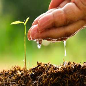 Water-Soluble Fertilizers Market Upcoming Trends And Regional Forecast By 2031