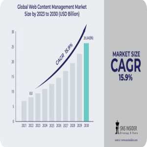 Web Content Management Market Growth, Recent Trends, Industry Analysis, Outlook, Insights, Share And Forecasts Report 2030