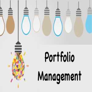 What Are The Advantages Of Portfolio Management Services Today?
