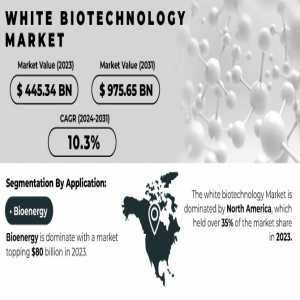 White Biotechnology Market Analysis With COVID-19 Impact On Business Growth, And Forecast 2024-2031