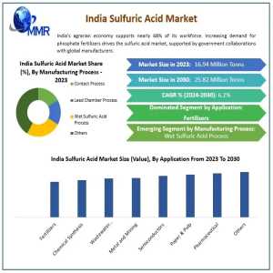 Who Are The Leading Players Dominating The India Sulfuric Acid Market?