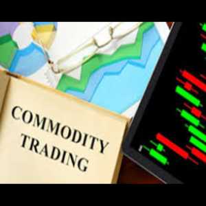 Who Is The Best Commodity Trading Advisor In Alwar?