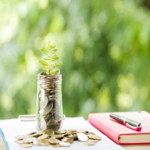 Why Do The Best Financial Advisors In Faridabad Recommend Investing In Mutual Funds?