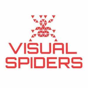 Why Visual Spiders Is The Best Choice For Powerpoint Presentation Design Services