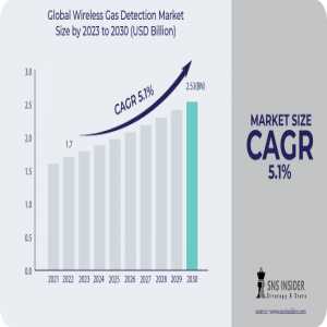 Wireless Gas Detection Market : A View Of The Current State And Future Outlook