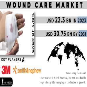 Wound Care Market Analysis With COVID-19 Impact On Business Growth, And Forecast 2024-2031