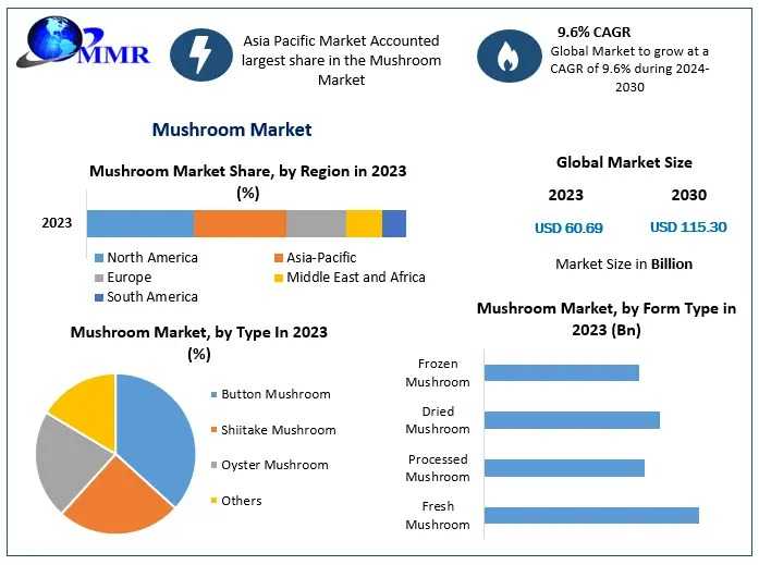 Sustainable Farming And Innovation Propel The Global Mushroom Industry Forward