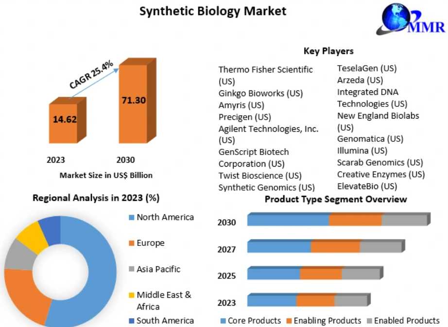 Synthetic Biology Market Overview By Global Development And Growth 2030