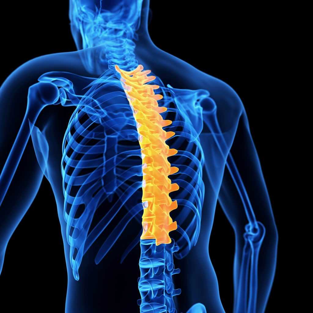 Thoracic Drainage Device Market Overview & Industry Landscape By 2031