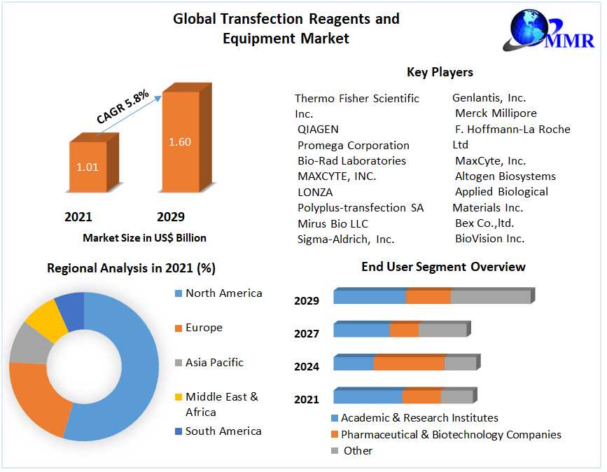 Transfection Reagents And Equipment Market Share, Industry Growth, Business Strategy, Trends And Regional Outlook 2022-2029