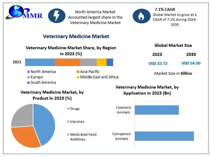 Veterinary Medicine Market Analysis: Key Drivers And Regional Insights