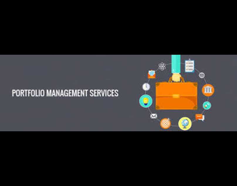 What Are The Benefits Of Portfolio Management Services In Prayagraj?