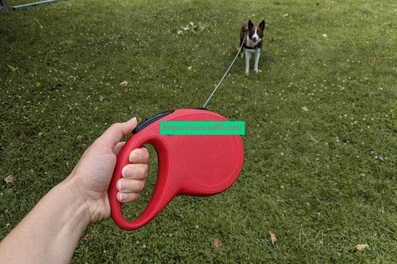 Why The Right Pet Leash Supplier Matters For Pet Safety